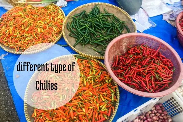 different type of chili used in Bali