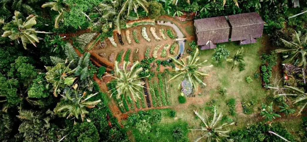 bali farm cooking from top