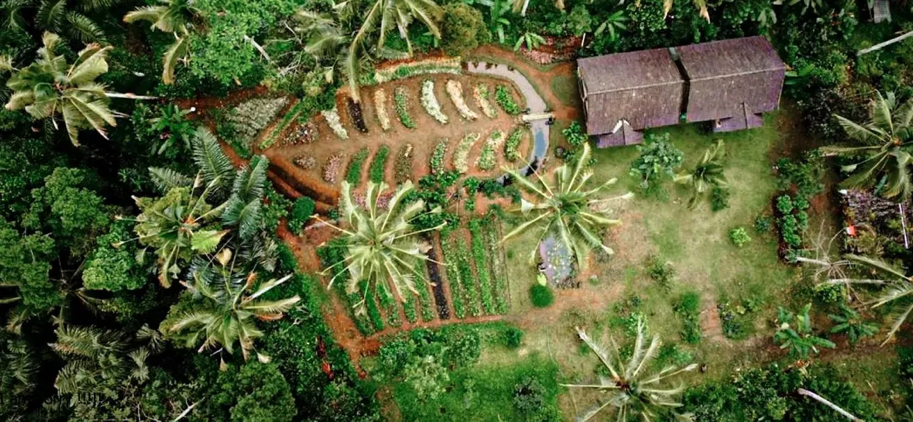 bali farm cooking from top
