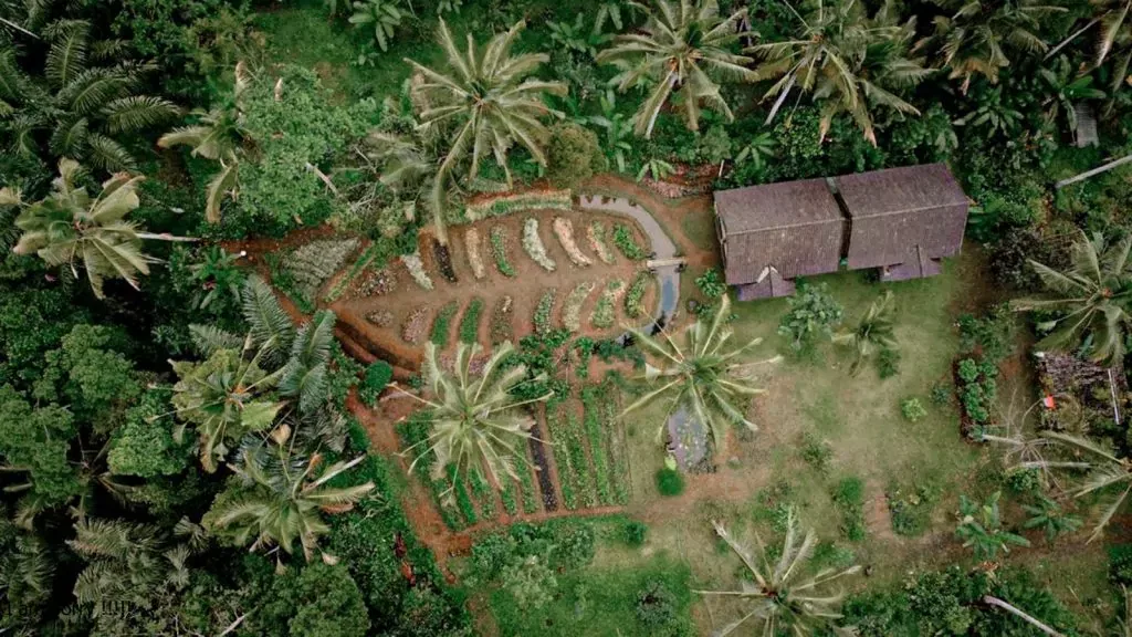 bali farm cooking from top