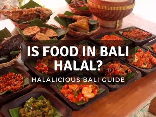 Halalicious Bali Guide