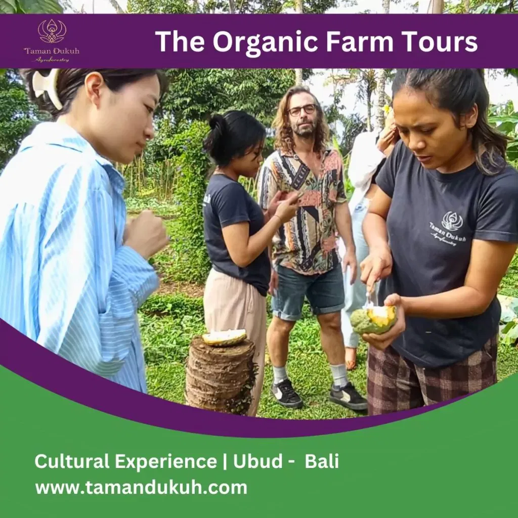 Taman Dukuh The Organic Farm Tours