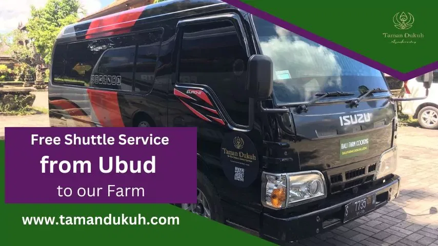 free shuttle service from ubud