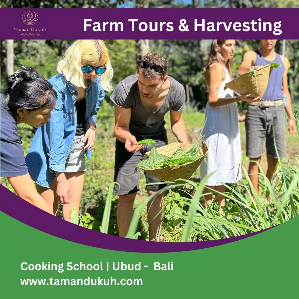 taman dukuh farm tours couples