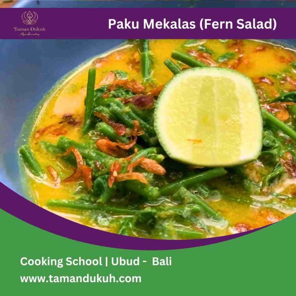 paku mekalas - the fern salad