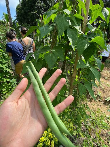 Morning cooking Class with Market Visit 9 svg%3E