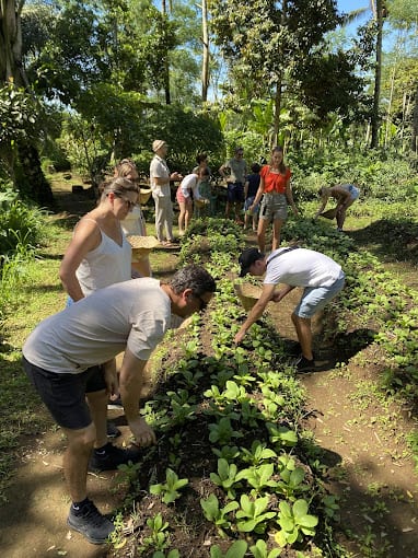 Places To Get Fresh Organic Food In Ubud
