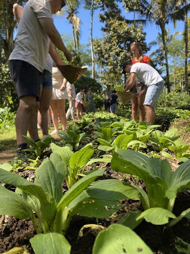 Benefits of Taking balinese cooking class