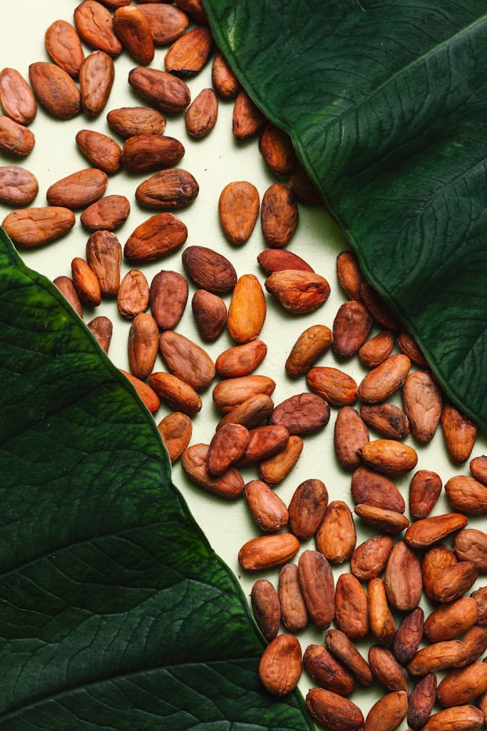 High-quality raw cocoa beans 
