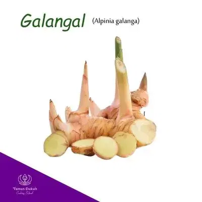 Fresh galangal root (lengkuas), a key ingredient in Balinese cuisine.