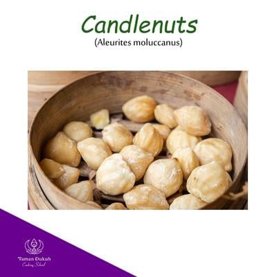 Candlenuts