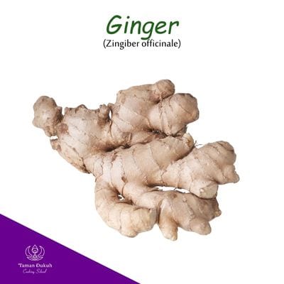 Fresh ginger root (jahe) used in Balinese cooking.