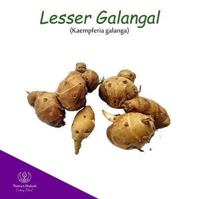 Kencur root (lesser galangal), a unique Balinese spice.