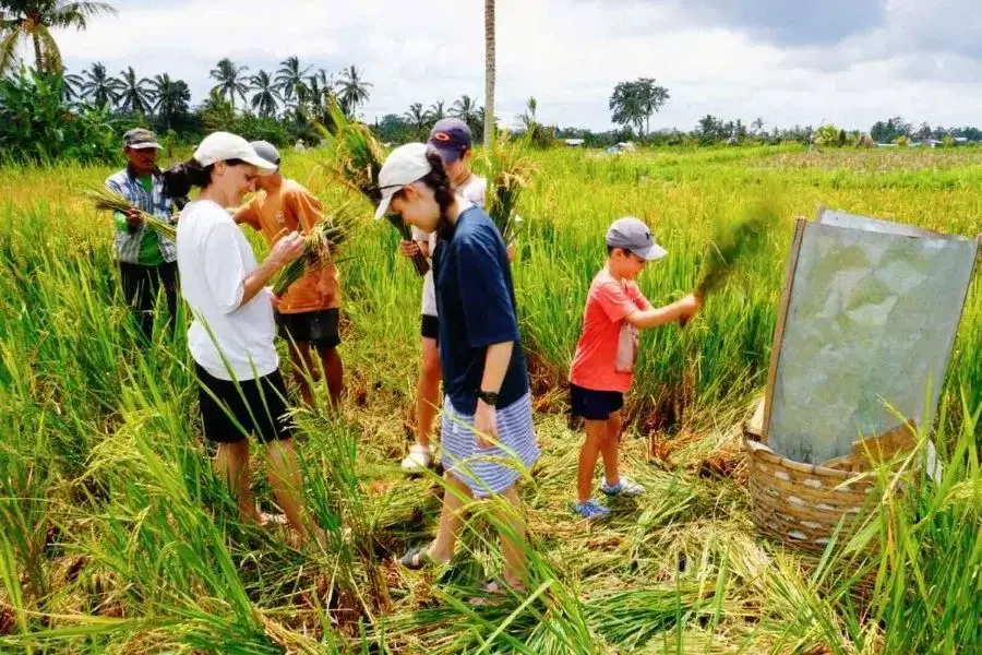 Taro Village Trek 1 600 1