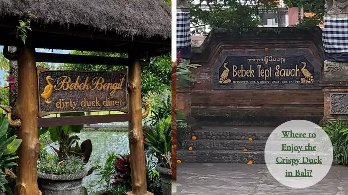 Indonesian Food to Try in Bali: Top 23 Must-Try Delicacies! 10 Crispy Duck restaurant in Bali
