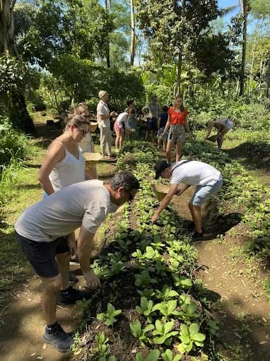 Places To Get Fresh Organic Food In Ubud | Local Knowledge 3 Places To Get Fresh Organic Food In Ubud