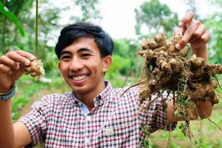 Bali Firefly Tours 2 Bali Farm Cooking ginger root Photo