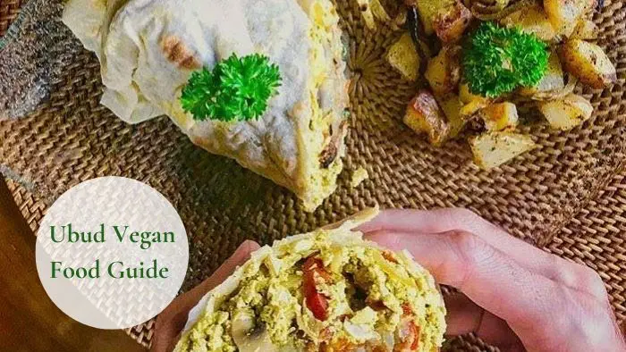 Ubud Vegan Food Guide: Exploring Bali's Vegan-Friendly Culinary Scene 6 Brekkyrito