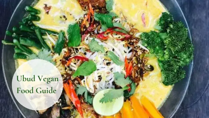 Ubud Vegan Food Guide: Exploring Bali's Vegan-Friendly Culinary Scene 5 Laksa-Bowl-Vegan-Raw-Food