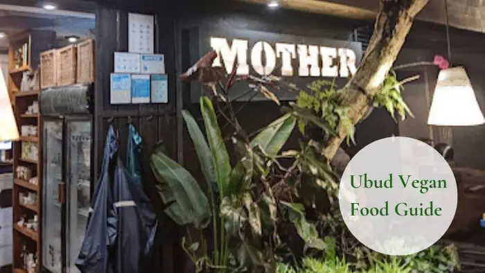 Ubud Vegan Food Guide: Exploring Bali's Vegan-Friendly Culinary Scene 15 Mother Cafe Ubud