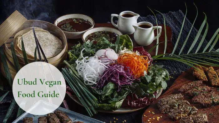 Ubud Vegan Food Guide: Exploring Bali's Vegan-Friendly Culinary Scene 2 PEKING DUCK INSPIRED PANCAKE