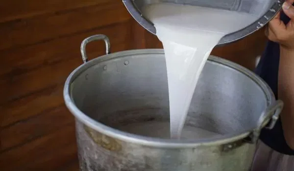 Coconut Oil Making 8 pouring coconut milk to make coconut oil