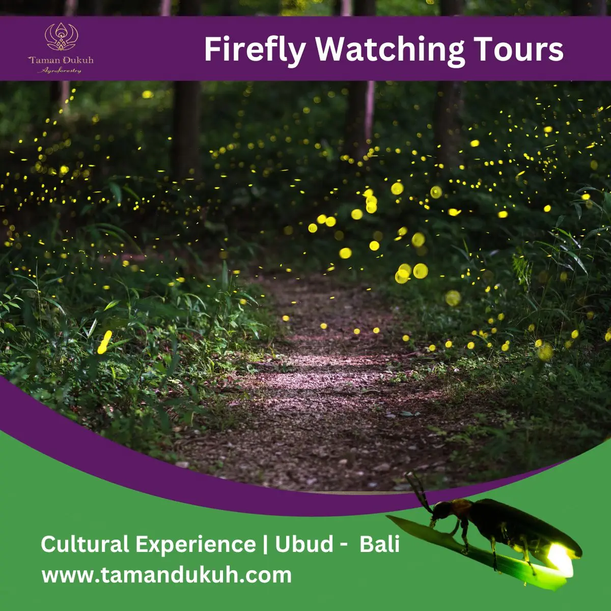 Bali Firefly Watching Tours in Ubud 1 Taman Dukuh Cultural Experience Firefly Watching Tours