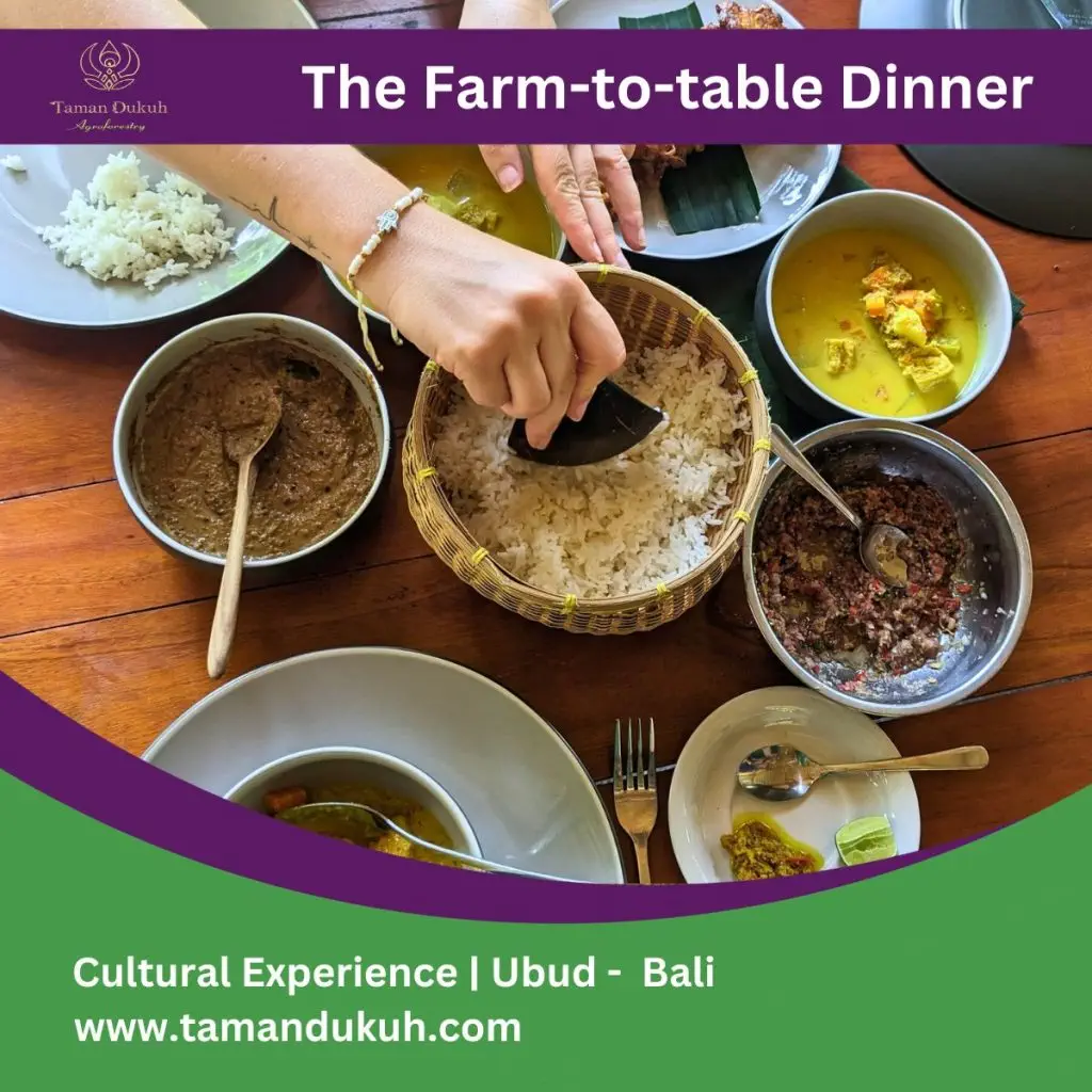 Bali Firefly Watching Tours in Ubud 8 Taman Dukuh The Farm-to-table Dinner