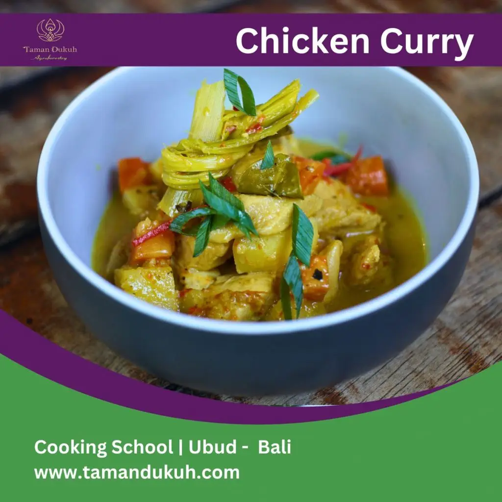 Couples Cooking Classes And Romantic Dinner in Ubud-Bali 25 taman dukuh balinese chicken curry