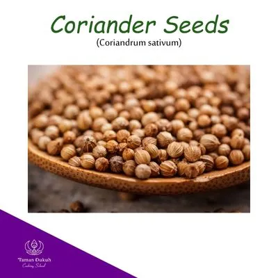 Spices & Ingredients 7 Dried coriander seeds (ketumbar) showing their round shape and light brown color, used for earthy flavor in Balinese cooking.