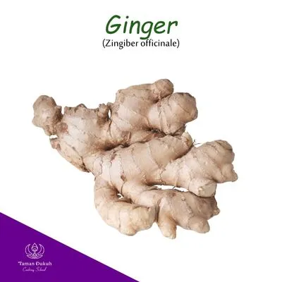 Spices & Ingredients 4 Fresh ginger root (jahe) used in Balinese cooking.