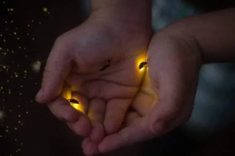 fireflies on hands 1