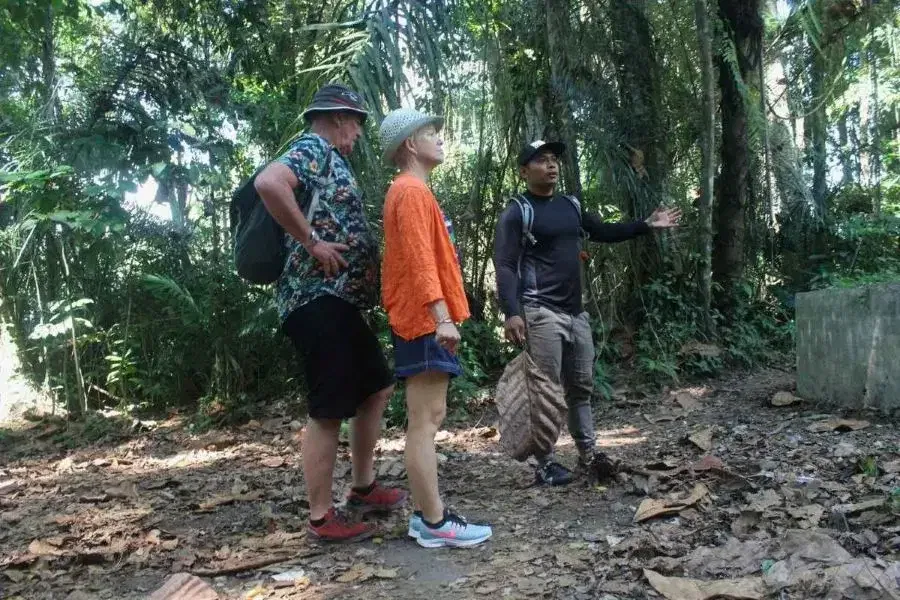 Guided Taro Village Tour 5 svg%3E