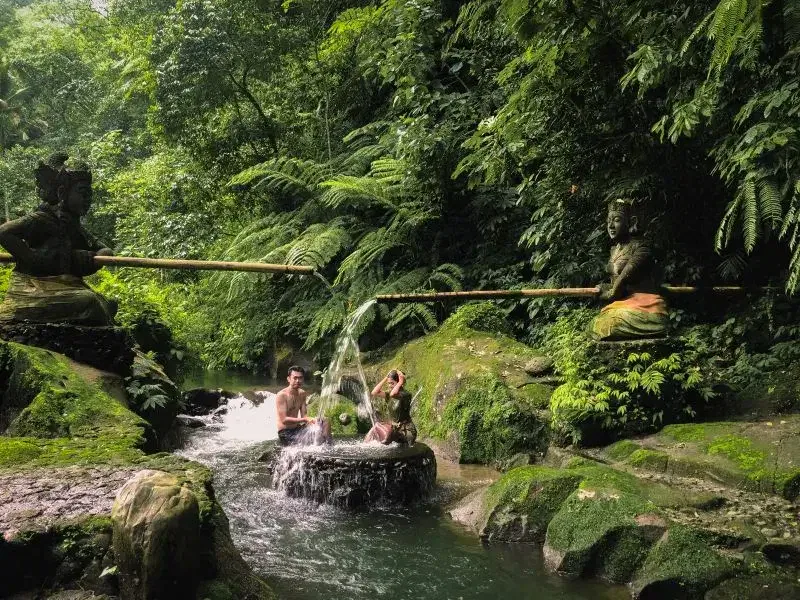 Guided Taro Village Tour 8 svg%3E
