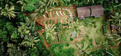 Our Organic Farm 2 bali farm cooking from top