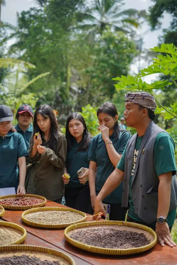 School Groups Cooking 16 UPH Universitas Pelita Harapan experiential learning in Taman Dukuh Farm 5