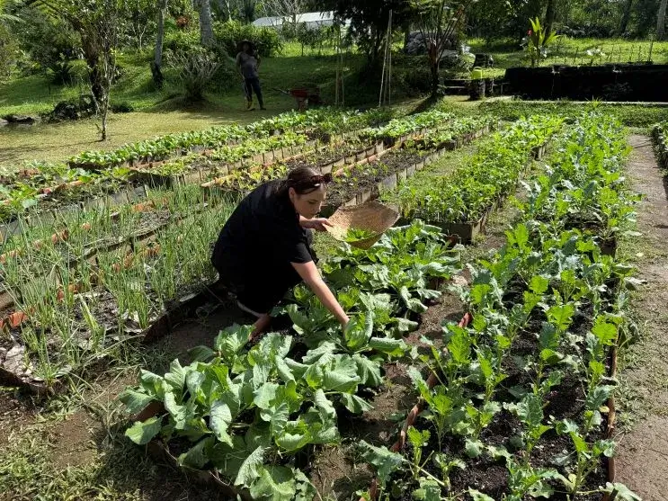 A guest picking up some veggies on the organic farm before the cooking started