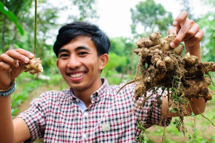 Bali Firefly Tours 10 Bali Farm Cooking ginger root Photo
