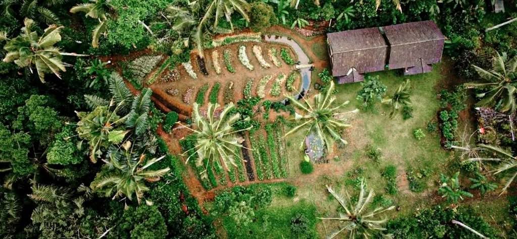 About Taman Dukuh 5 bali farm cooking from top