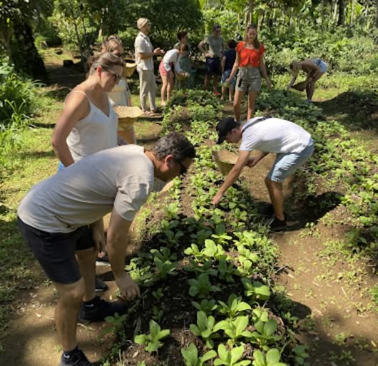 Beginner Friendly Cooking Classes in Bali: Learn Like Local 5 people collecting ingredients themselves.