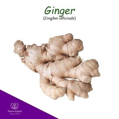 Fresh ginger root (jahe) used in Balinese cooking.