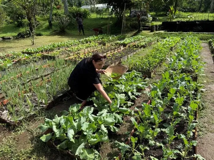 Taman Dukuh Bali Farm Cooking School | Cooking Class Ubud 6 taman dukuh farm
