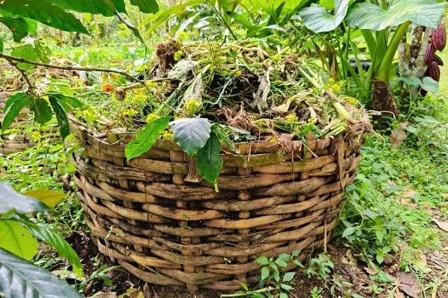 Farm-to-Table Bali 9 Composting & Responsible Waste Management